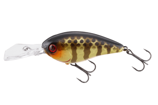 DIGLE 5+ SK Champagne Gold Gill