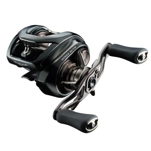 DAIWA 24 STEEZ SV TW 100L (JDM)