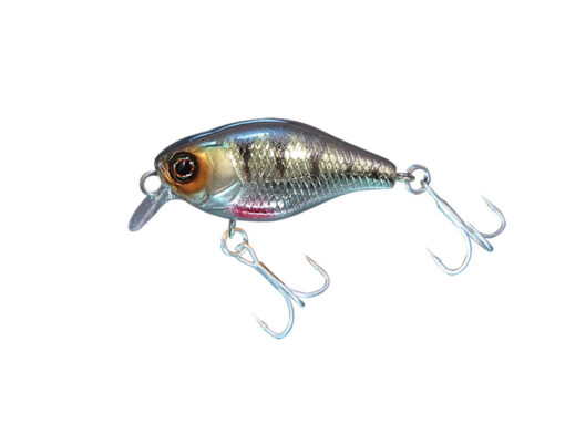 JACKALL CHUBBY 38 SILENT | HL PERCH